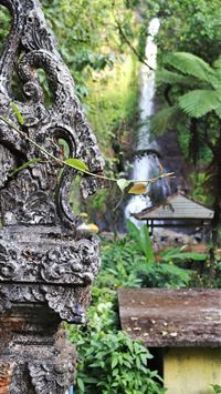 Best Bali Iphone Hd Wallpapers Ilikewallpaper Best Bali Iphone Hd Wallpapers Ilikewallpaper