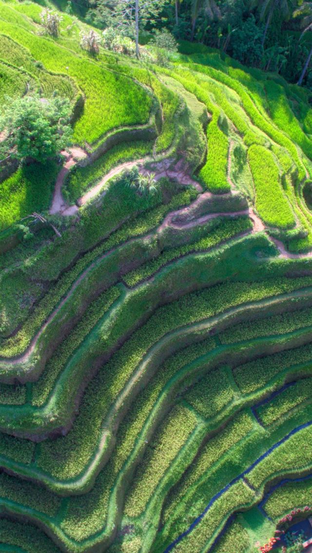 640x1136 Bali - 100 most beautiful places to visit iPhone Wallpaper