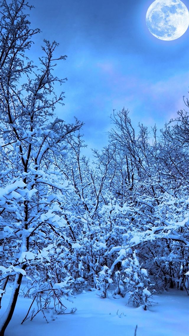 640x1136 The Himalayas - 100 most beautiful places to visit iPhone Wallpaper