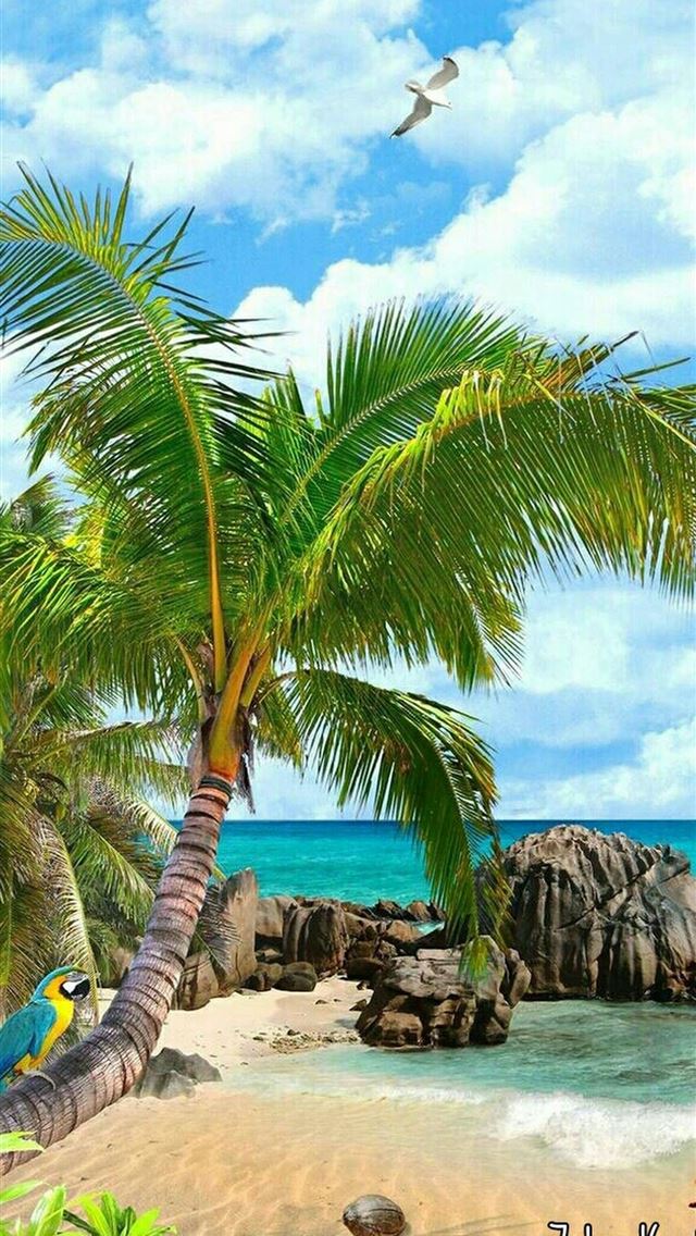 640x1136 Galapagos Islands - galapagos islands iPhone Wallpaper