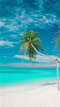 Galapagos Islands wallpaper