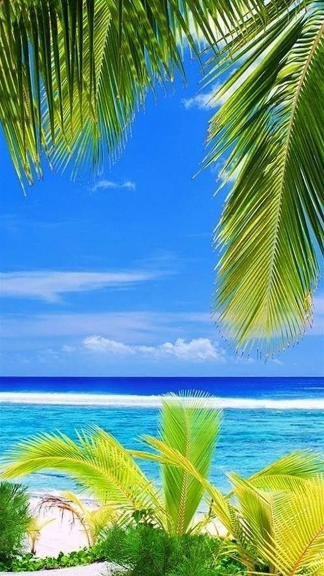 640x1136 Galapagos Islands - galapagos islands iPhone Wallpaper