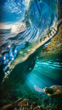 Galapagos Islands wallpaper