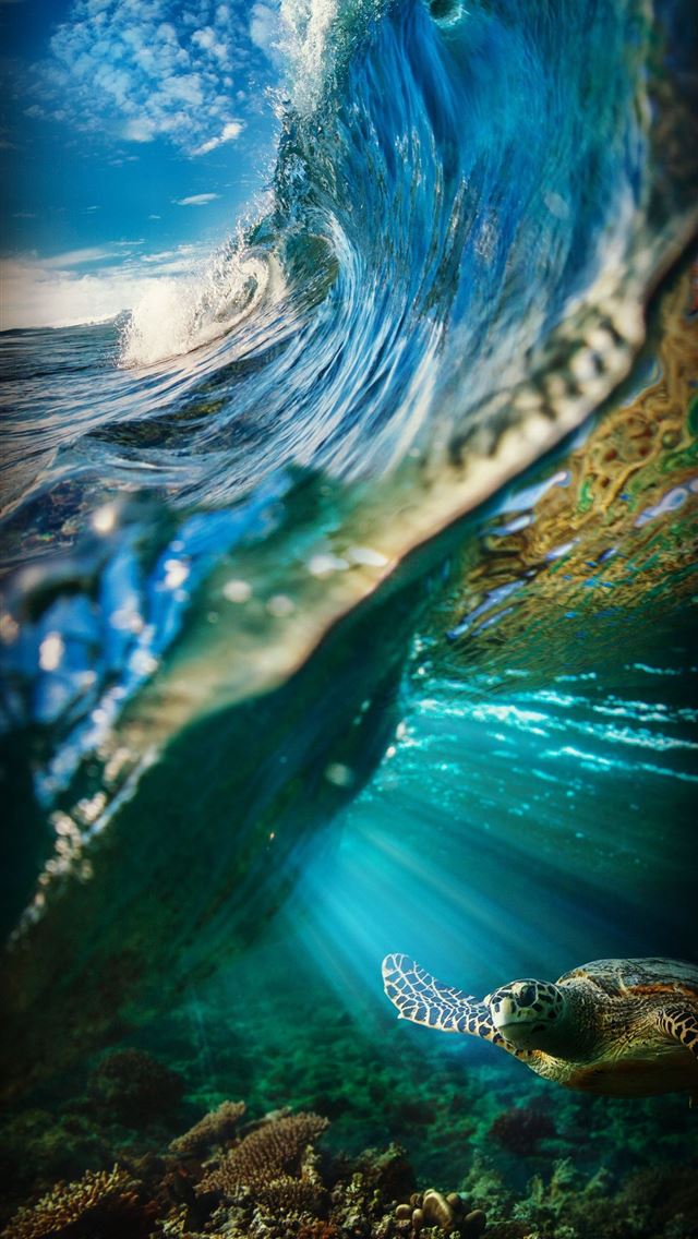 640x1136 Galapagos Islands - galapagos islands iPhone Wallpaper