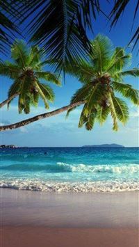 Galapagos Islands wallpaper