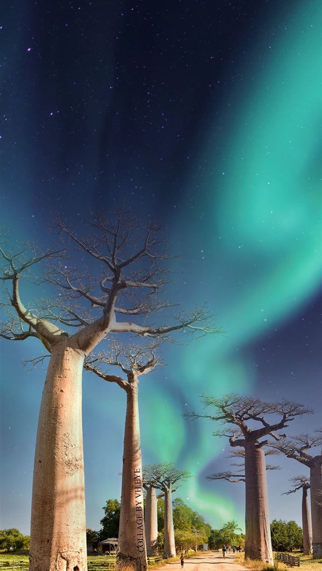 640x1136 Madagascar Country posted by John Tremblay - 100 most beautiful places to visit iPhone Wallpaper