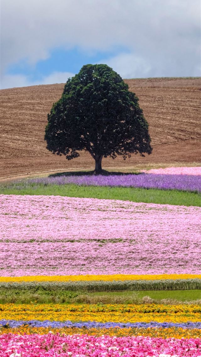 640x1136 Ladakh - 100 most beautiful places to visit iPhone Wallpaper