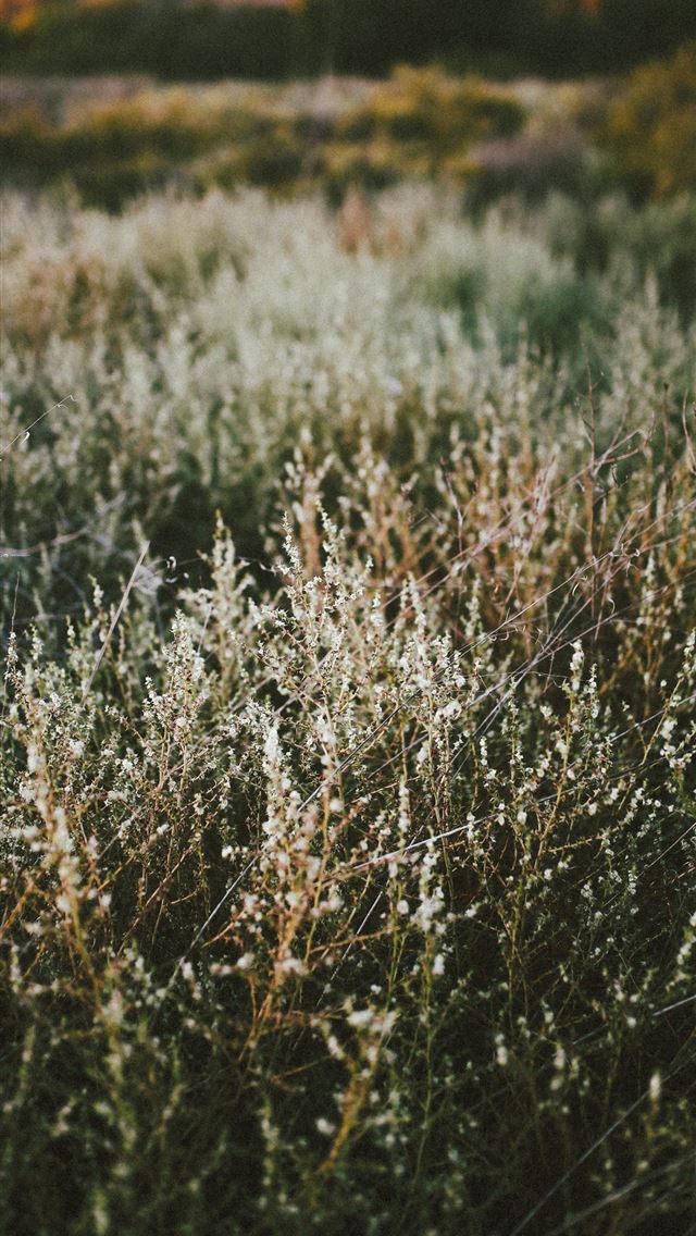 640x1136 Ladakh - india iPhone Wallpaper