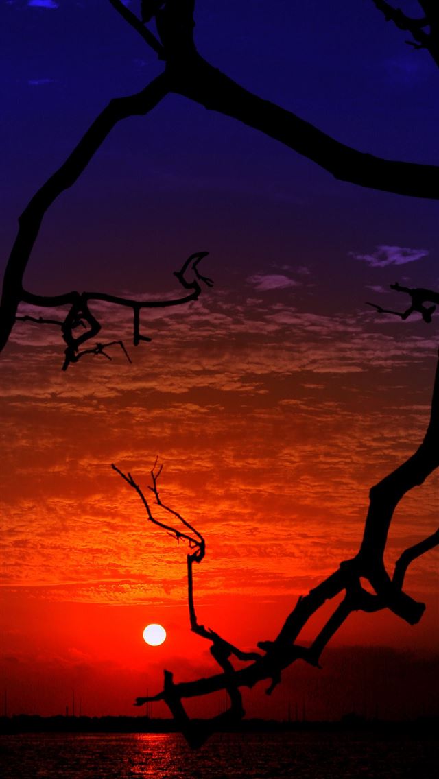 640x1136 Kerala India Sunrise Sunset Times - 100 most beautiful places to visit iPhone Wallpaper