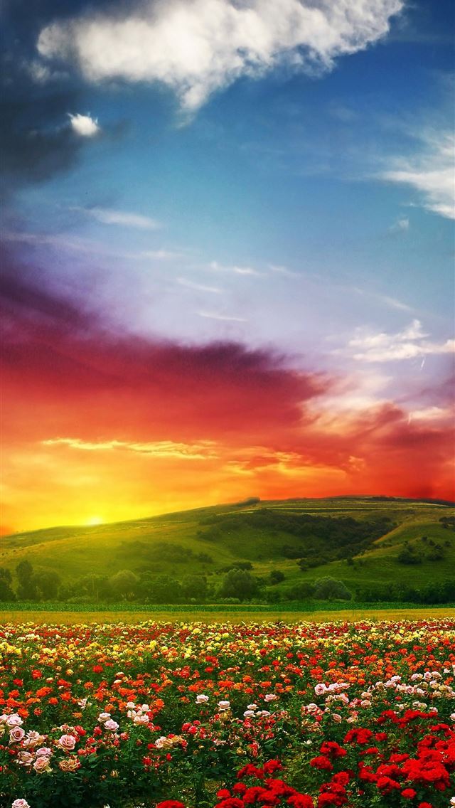 640x1136 Kerala - kerala iPhone Wallpaper