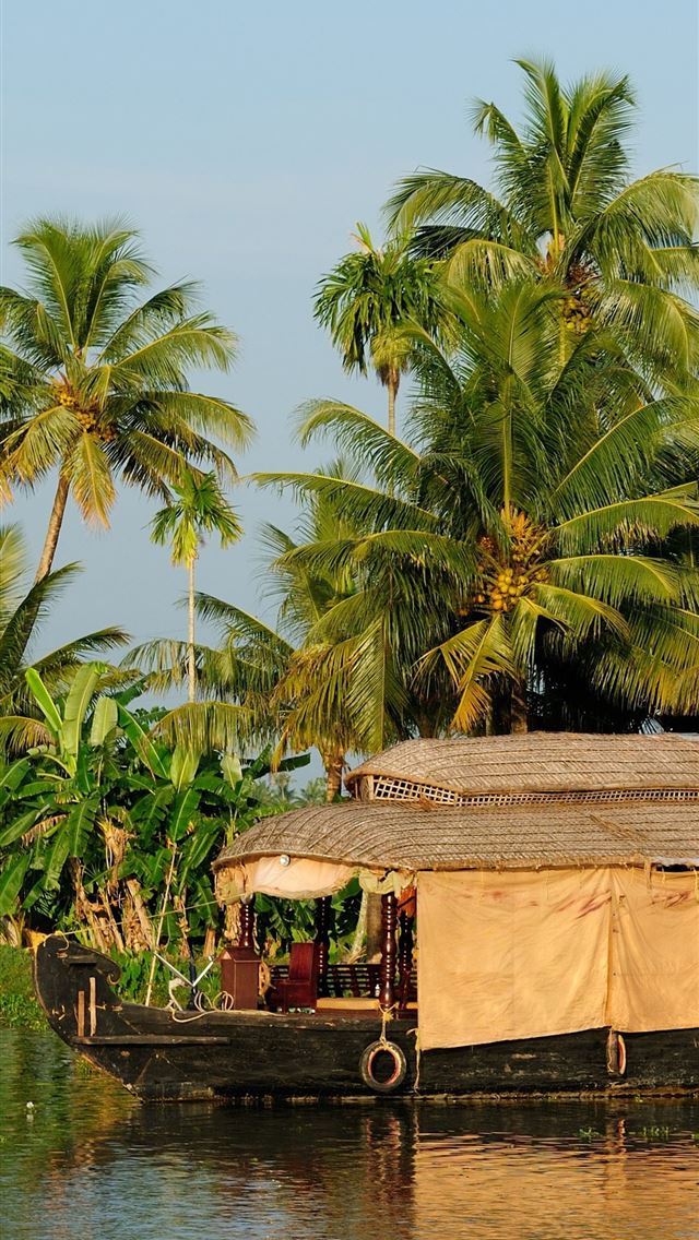 640x1136 16 Resort Clipart kerala coconut tree Free Clip Ar... - india iPhone Wallpaper