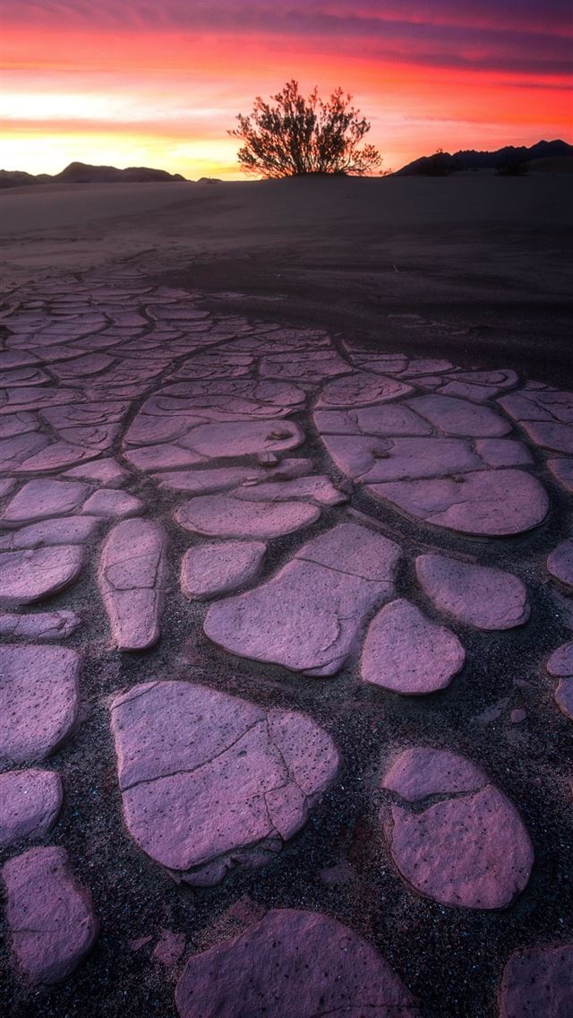 640x1136 Death Valley Mud Crack Lone Tree 4k Samsung Galaxy... - california iPhone Wallpaper