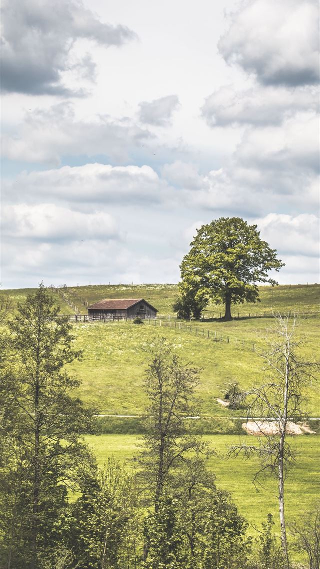 640x1136 Giethoorn - giethoorn iPhone Wallpaper