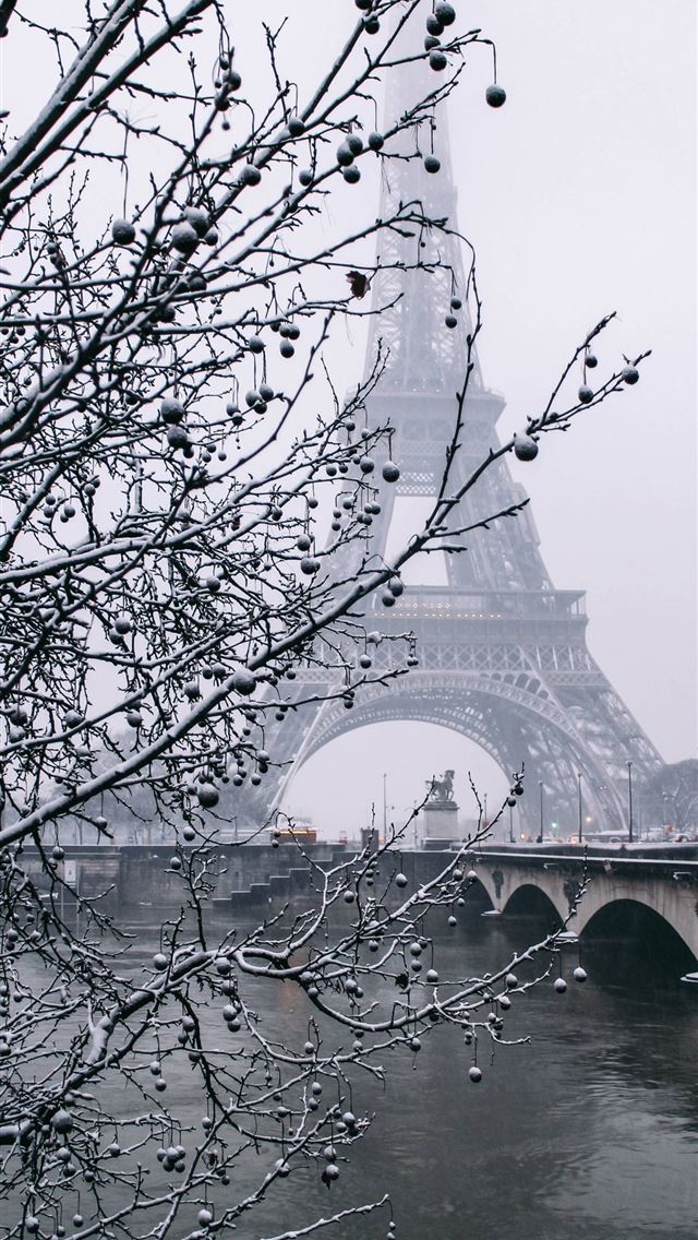 640x1136 Snowy Paris Coeur - france iPhone Wallpaper