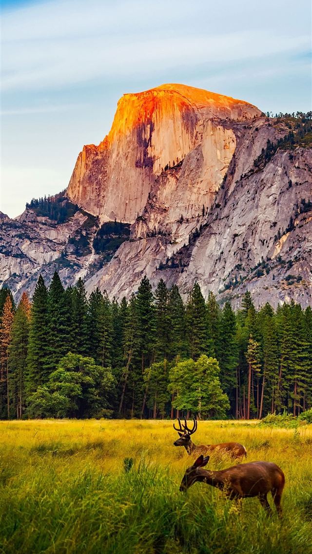 640x1136 Yellowstone National Park - yellowstone national park iPhone Wallpaper