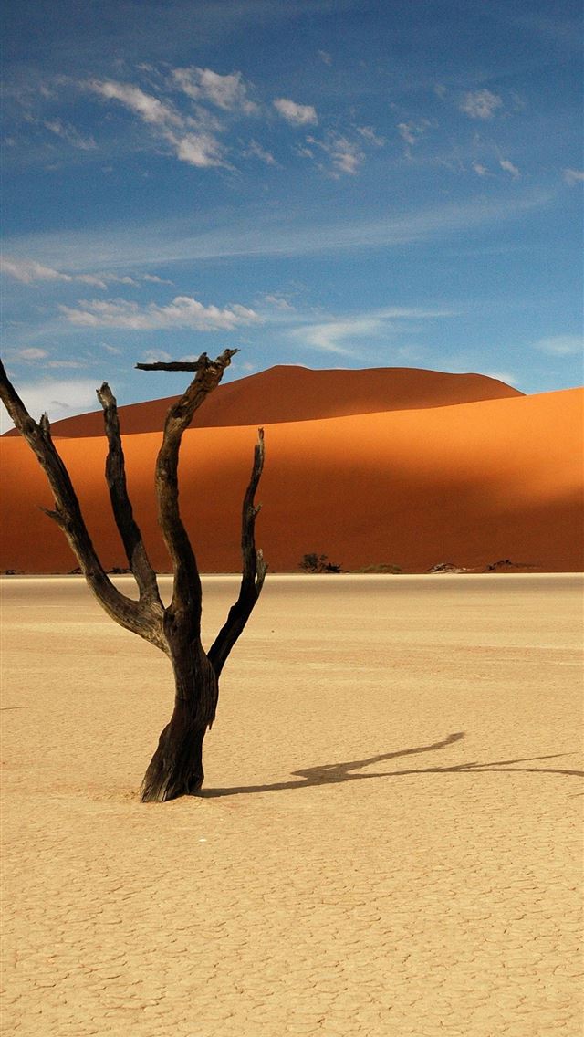 640x1136 Namib Desert - southwestern africa iPhone Wallpaper
