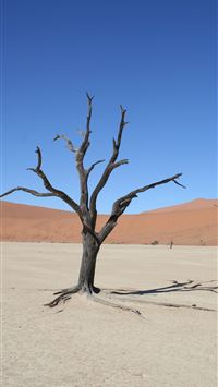 Namib Desert wallpaper