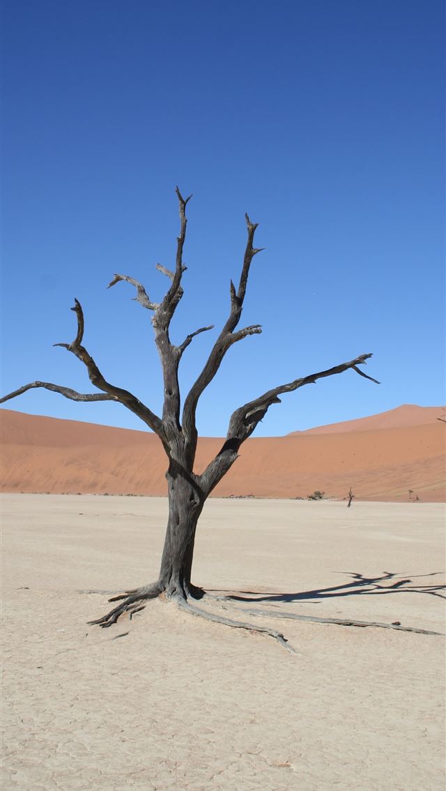 640x1136 Namib Desert - southwestern africa iPhone Wallpaper