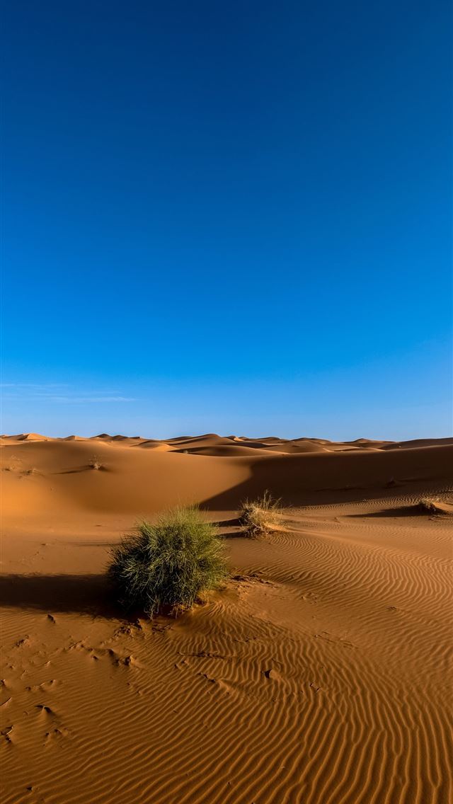 640x1136 Namib Desert - 100 most beautiful places to visit iPhone Wallpaper