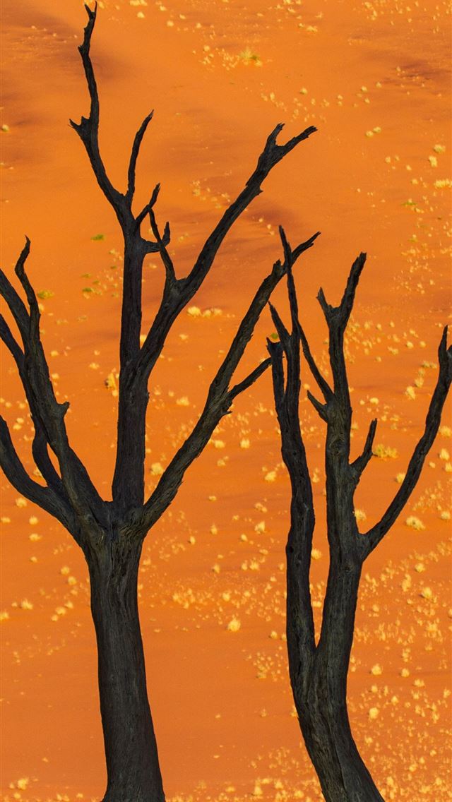 640x1136 Namib Desert - southwestern africa iPhone Wallpaper