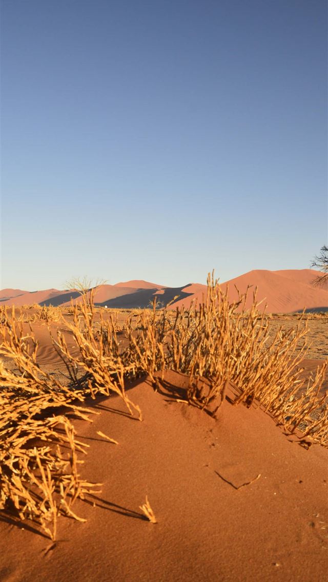 640x1136 Namib Desert - southwestern africa iPhone Wallpaper