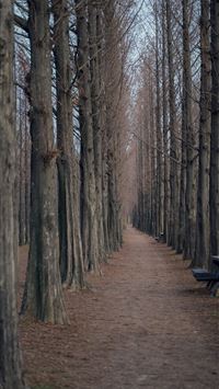 Plitvice Lakes National Park wallpaper
