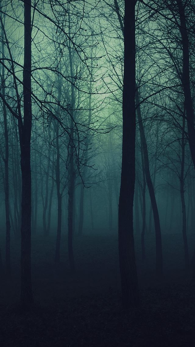 640x1136 Dark Forest - fog iPhone Wallpaper