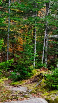 Angel Falls wallpaper