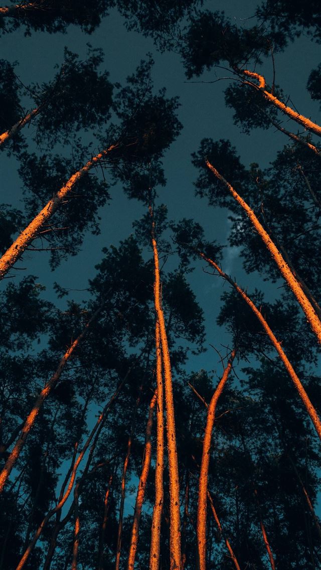 640x1136 Angel Falls - angel falls iPhone Wallpaper
