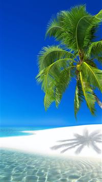 Seychelles Resort Ocean Holiday Beach wallpaper