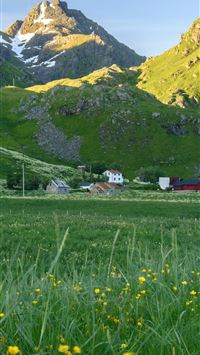 Trolltunga wallpaper