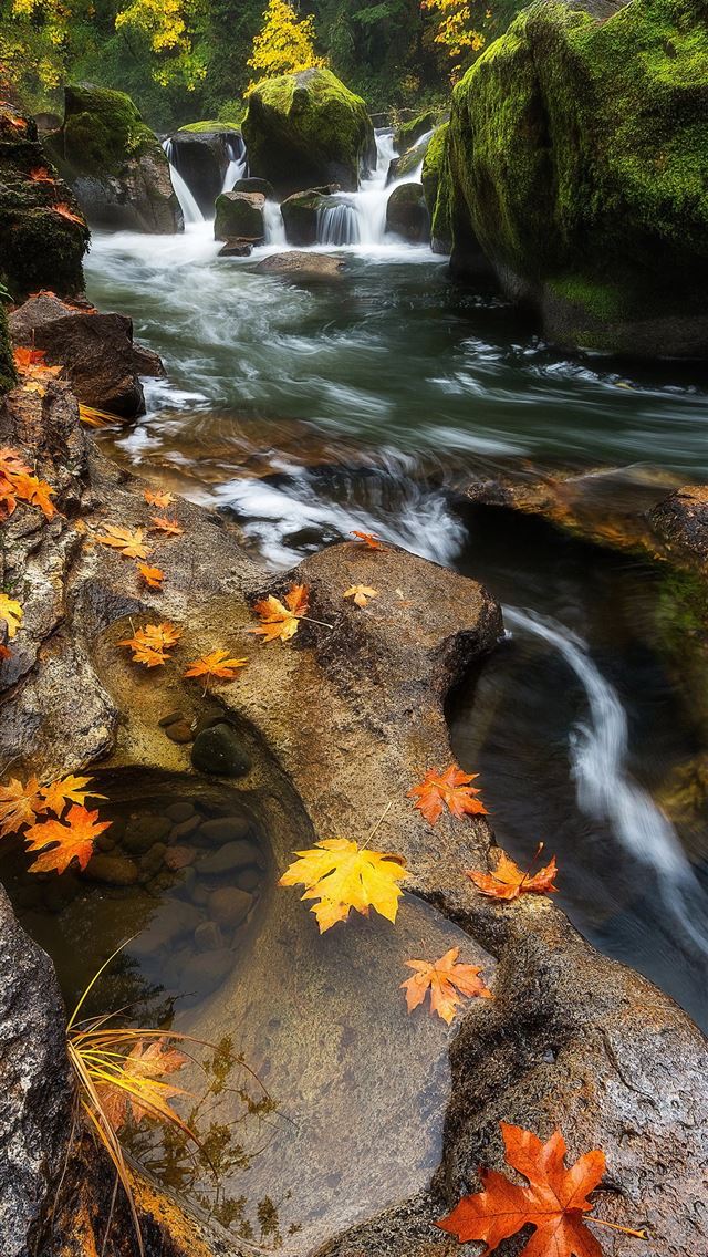 640x1136 Iguazu Falls - 100 most beautiful places to visit iPhone Wallpaper