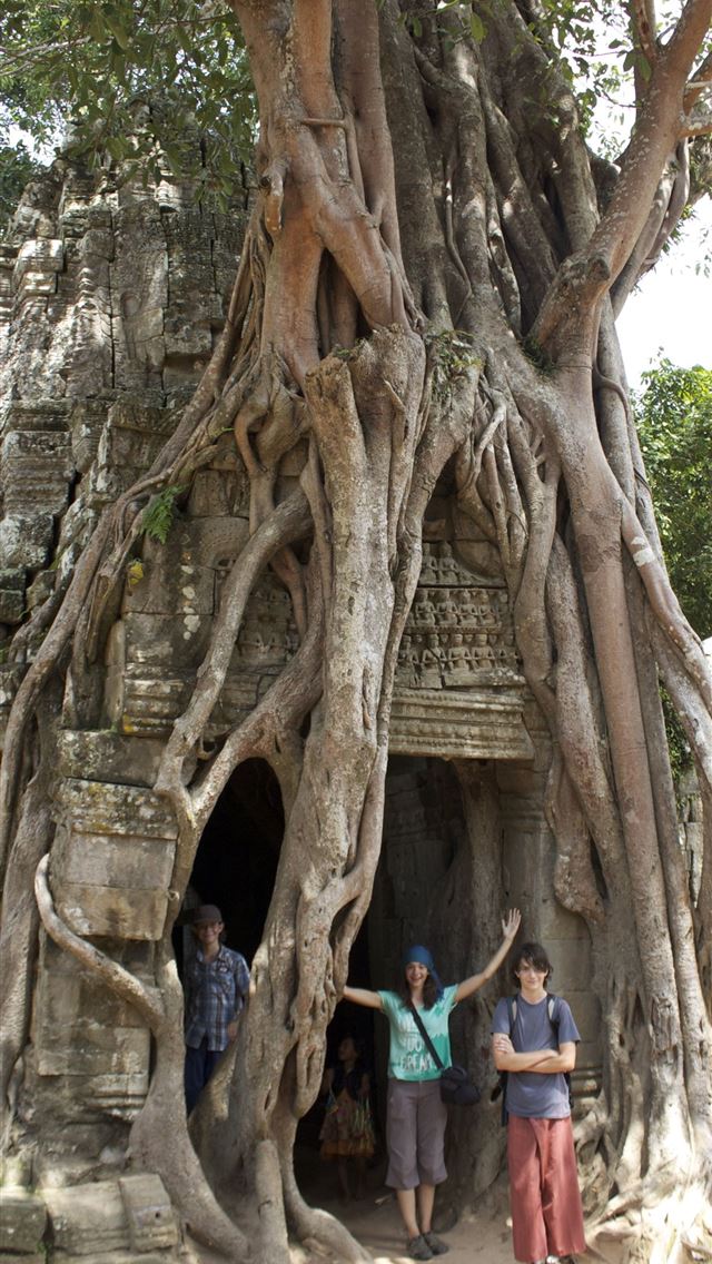 640x1136 The great trees of Angkor Wat - angkor wat iPhone Wallpaper