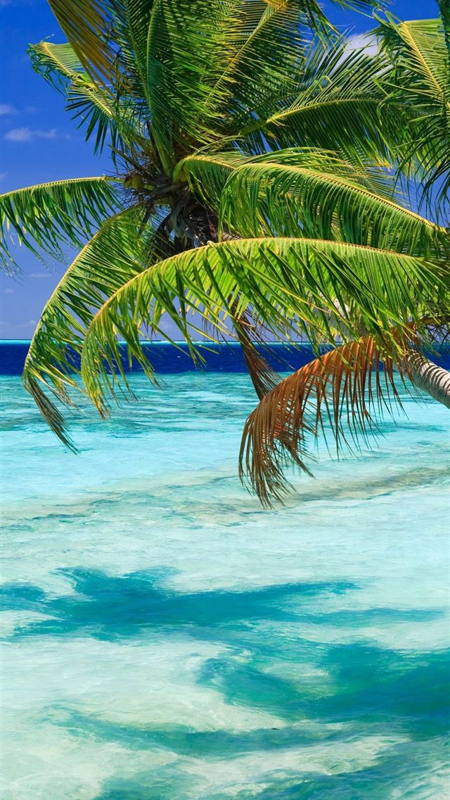 640x1136 Barbados - barbados iPhone Wallpaper