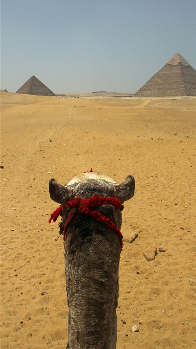 640x1136 Great Pyramid of Giza - egypt iPhone Wallpaper