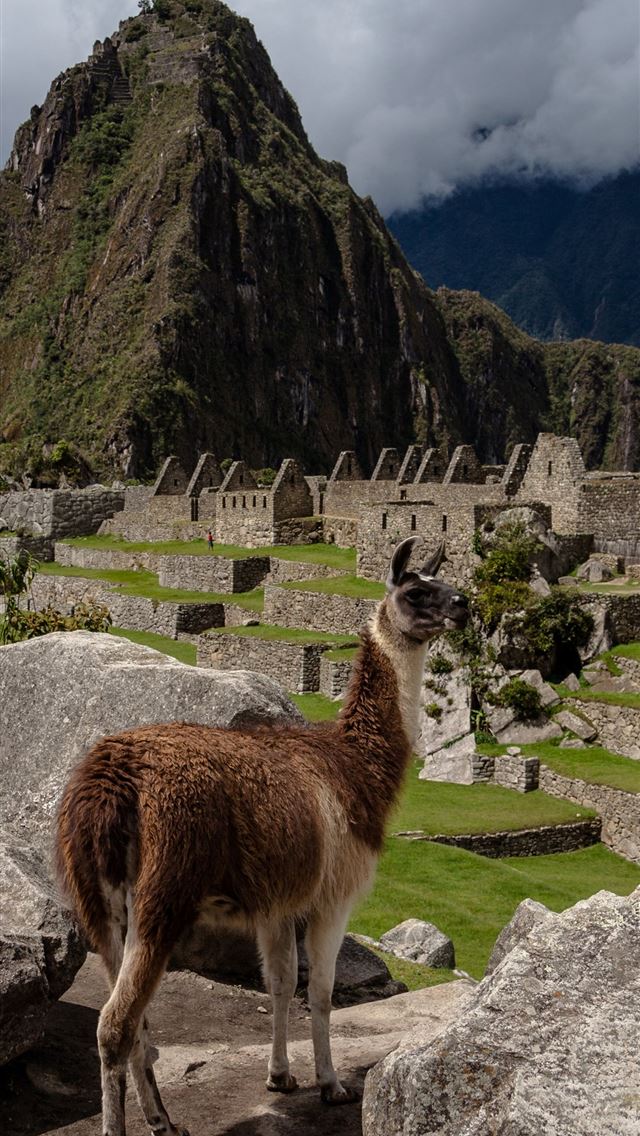 640x1136 Machu Picchu Archivi backgrounds and more - peru iPhone Wallpaper