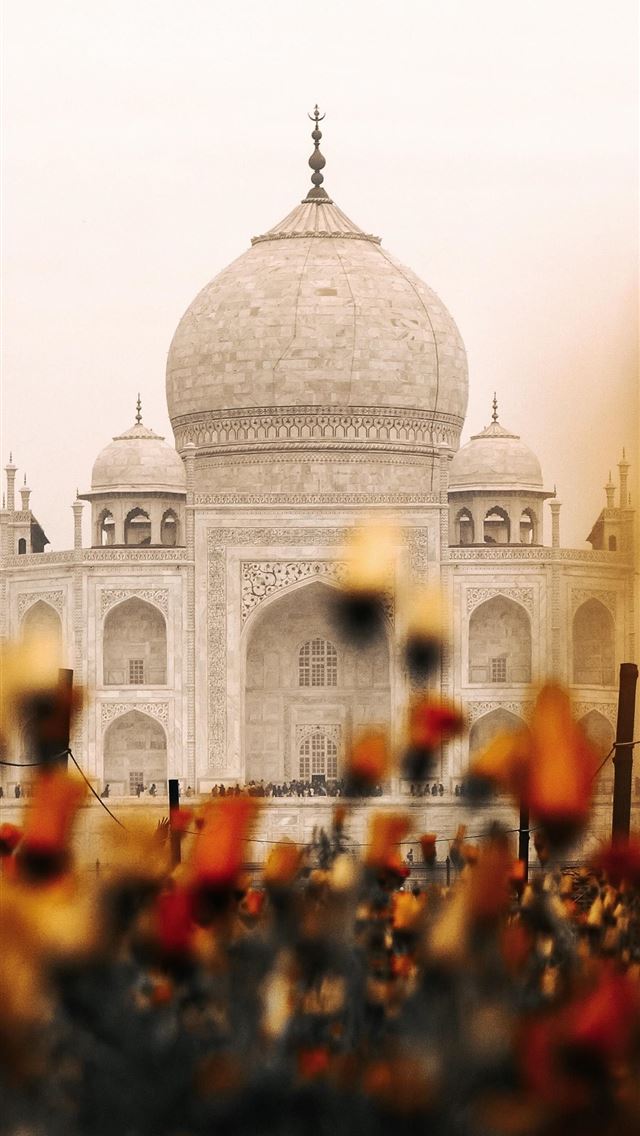 640x1136 ITAP The Taj Mahal Peeking Through PicOfTheDay - taj mahal iPhone Wallpaper