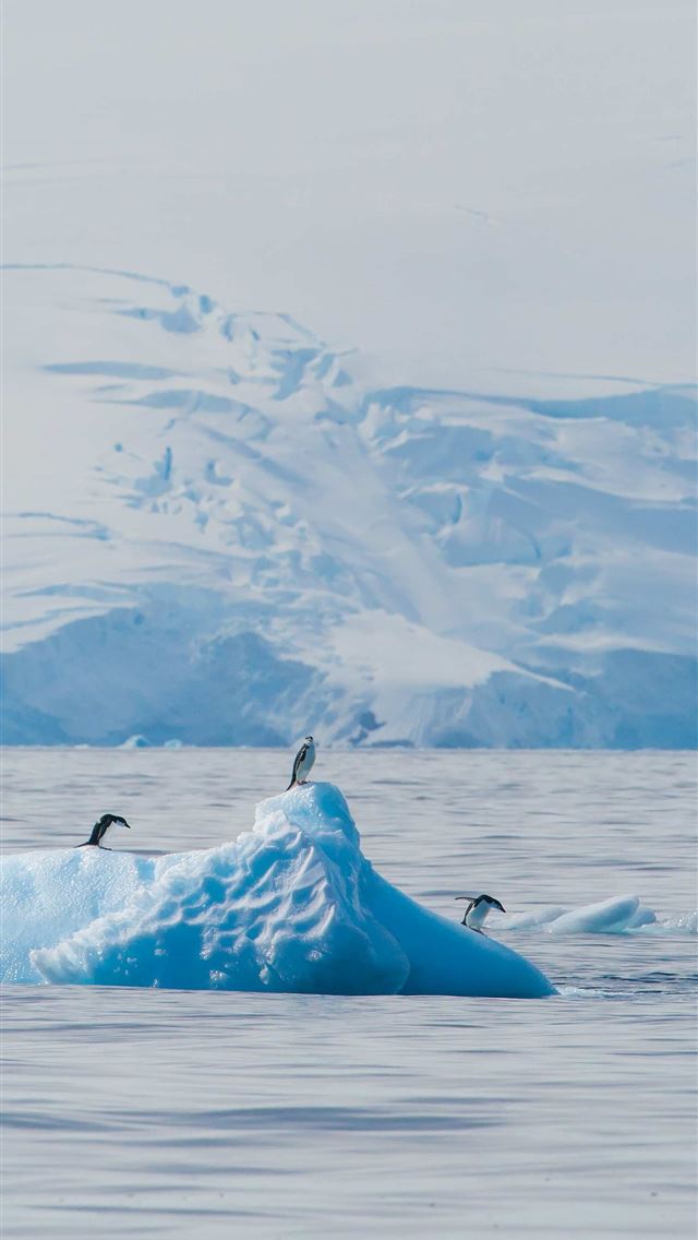 640x1136 Antarctica Phone Cave -  iPhone Wallpaper