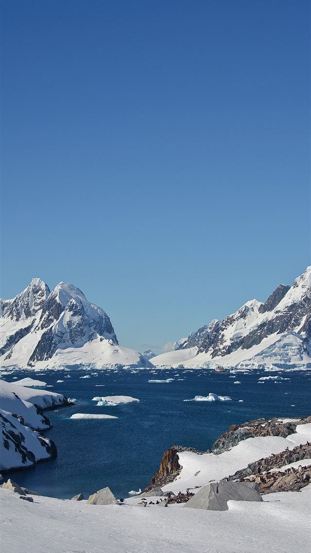 640x1136 Antarctica - 100 most beautiful places to visit iPhone Wallpaper