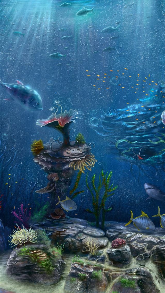 640x1136 Great Barrier Reef - australia iPhone Wallpaper