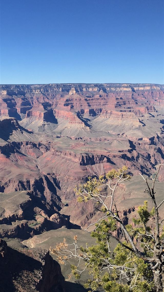 640x1136 Earth Grand Canyon ID 785295 Mobile Abyss - grand canyon iPhone Wallpaper