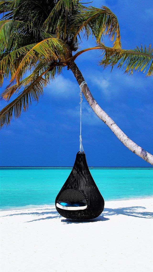 640x1136 maldives islands palm tree travel - maldives iPhone Wallpaper