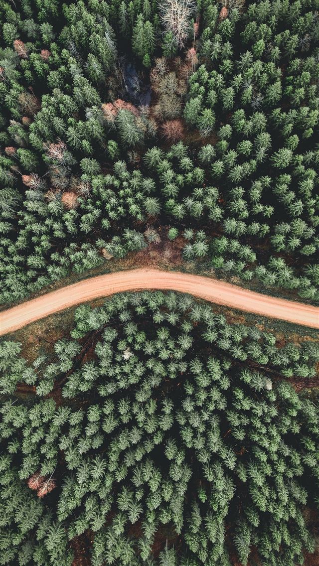 640x1136 aerial view of green trees - tree iPhone Wallpaper