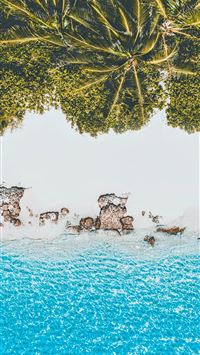 green trees on seashore wallpaper