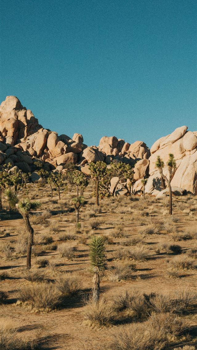 640x1136 brown rock formation under blue sky during daytime - desert iPhone Wallpaper