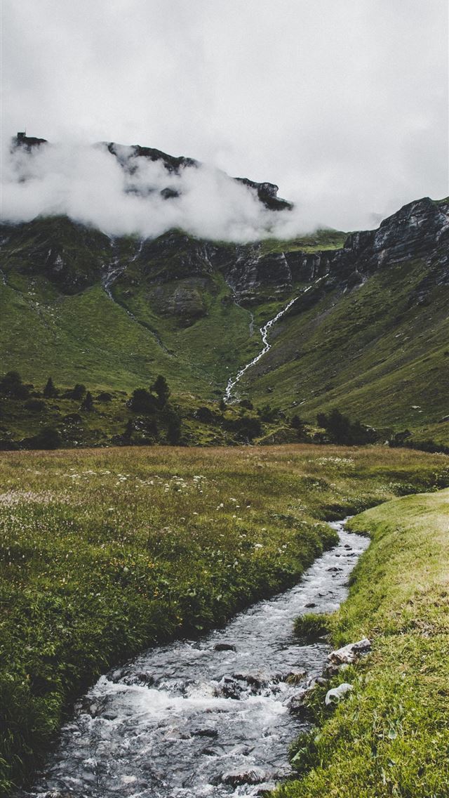 640x1136 river in forest near hills - animal iPhone Wallpaper