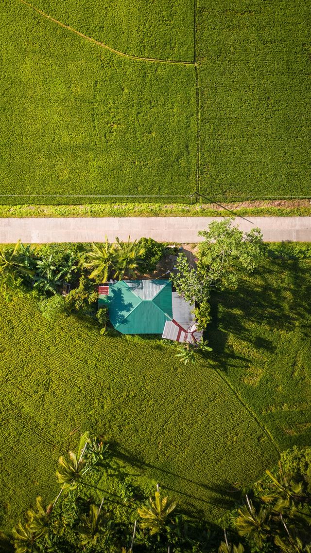 640x1136 aerial view of green grass field during daytime - philippines iPhone Wallpaper