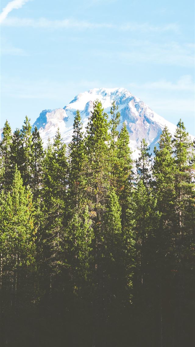 640x1136 green pine trees near snow covered mountain during... - oregon iPhone Wallpaper