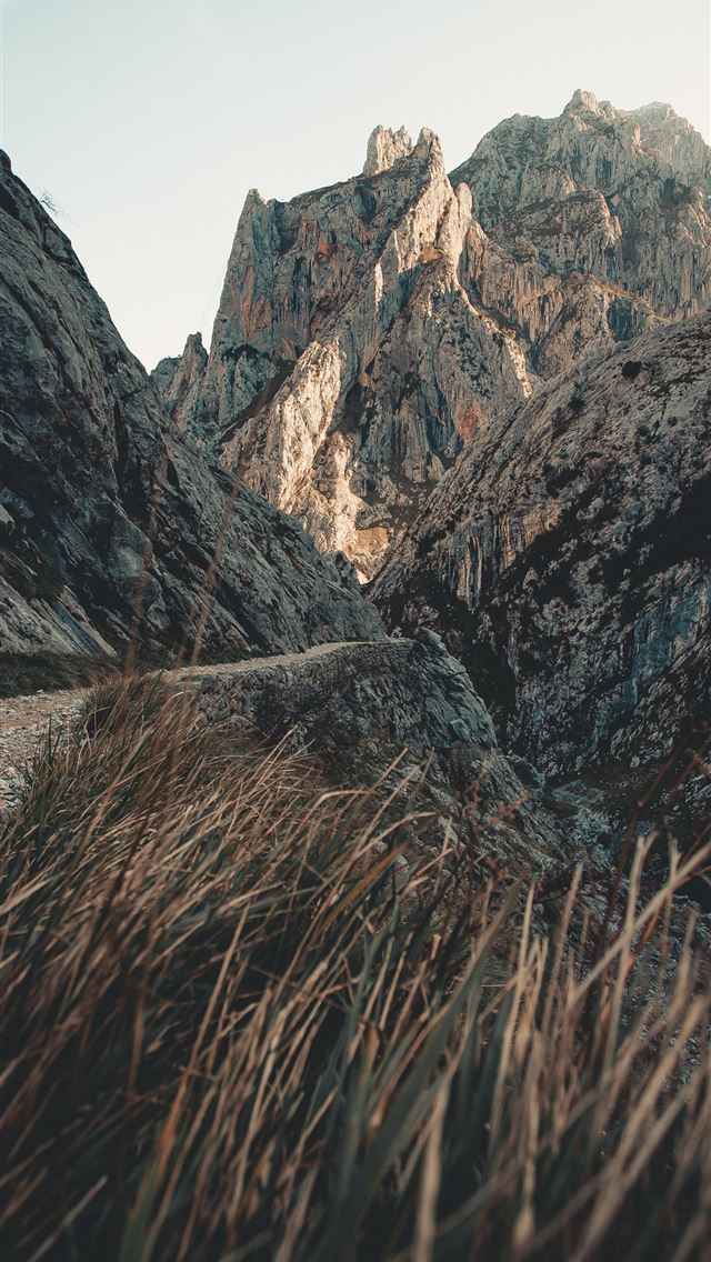 640x1136 gray rocky mountain under white sky during daytime - grass iPhone Wallpaper