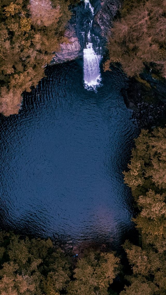 640x1136 aerial photography of body of water surrounded by ... - tree iPhone Wallpaper